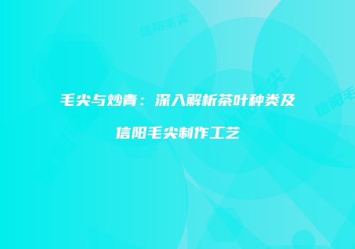 毛尖与炒青：深入解析茶叶种类及信阳毛尖制作工艺