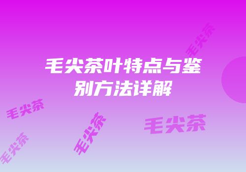 毛尖茶叶特点与鉴别方法详解