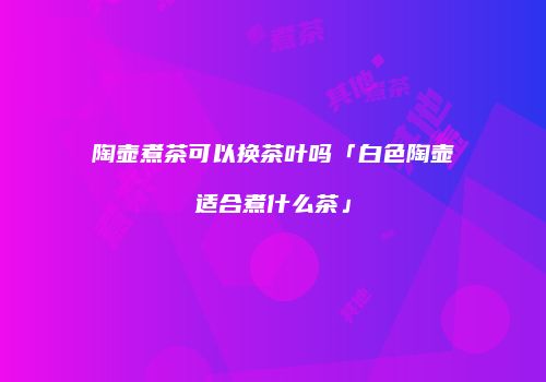 陶壶煮茶可以换茶叶吗「白色陶壶适合煮什么茶」