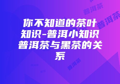 你不知道的茶叶知识-普洱小知识普洱茶与黑茶的关系