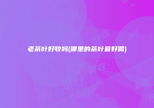 老茶叶好收吗(哪里的茶叶最好喝)