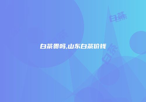白茶贵吗,山东白茶价钱