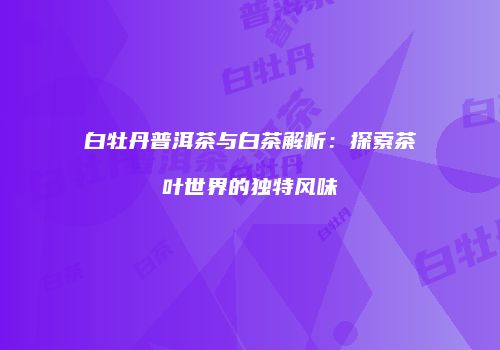 白牡丹普洱茶与白茶解析：探索茶叶世界的独特风味