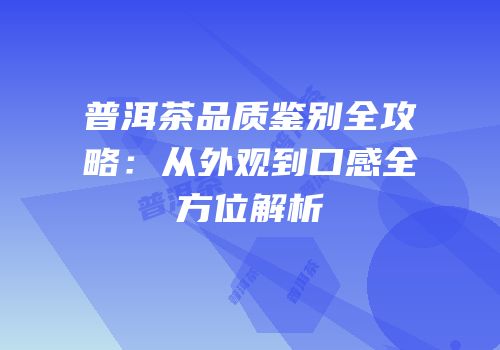 普洱茶品质鉴别全攻略：从外观到口感全方位解析