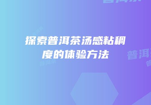 探索普洱茶汤感粘稠度的体验方法