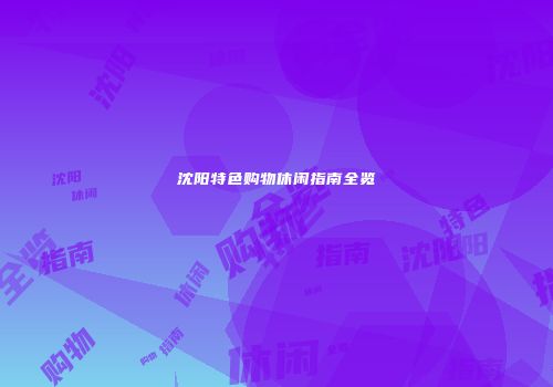 沈阳特色购物休闲指南全览