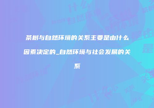 茶树与自然环境的关系主要是由什么因素决定的_自然环境与社会发展的关系