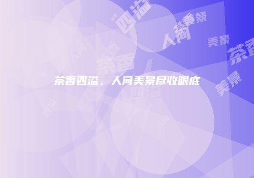 茶香四溢，人间美景尽收眼底
