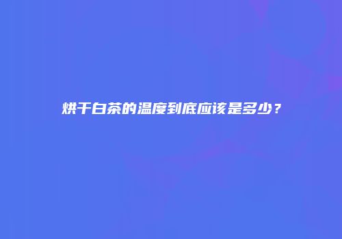 烘干白茶的温度到底应该是多少？