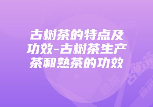 古树茶的特点及功效-古树茶生产茶和熟茶的功效