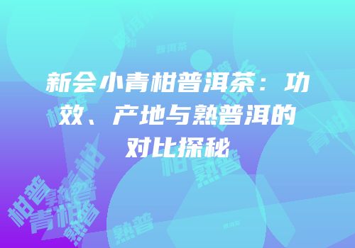 新会小青柑普洱茶：功效、产地与熟普洱的对比探秘