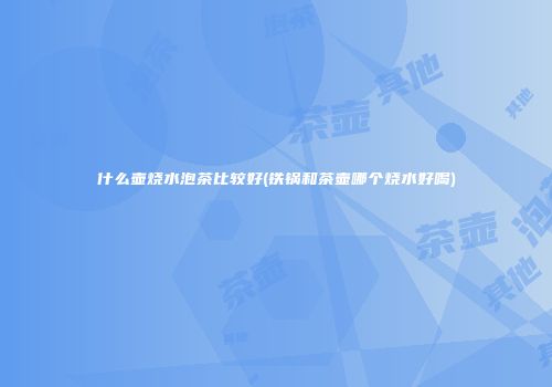 什么壶烧水泡茶比较好(铁锅和茶壶哪个烧水好喝)
