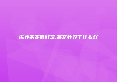 滋养茶宠很好玩,茶宠养好了什么样