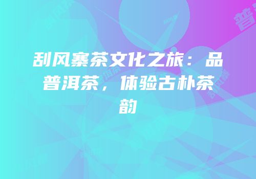 刮风寨茶文化之旅：品普洱茶，体验古朴茶韵