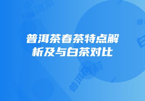 普洱茶春茶特点解析及与白茶对比