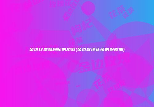 金边玫瑰和枸杞的功效(金边玫瑰花茶的保质期)