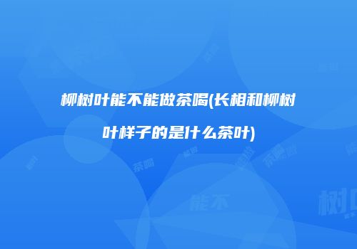 柳树叶能不能做茶喝(长相和柳树叶样子的是什么茶叶)