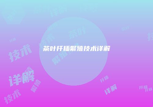 茶叶扦插繁殖技术详解