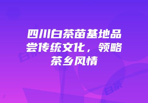 四川白茶苗基地品尝传统文化，领略茶乡风情