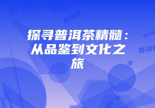 探寻普洱茶精髓：从品鉴到文化之旅