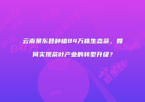 云南景东县种植84万株生态茶，如何实现茶叶产业的转型升级？