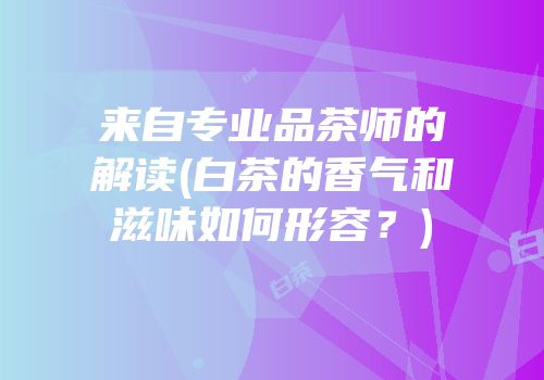 来自专业品茶师的解读(白茶的香气和滋味如何形容？)