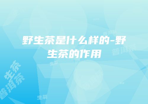 野生茶是什么样的-野生茶的作用