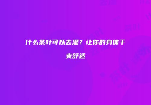 什么茶叶可以去湿？让你的身体干爽舒适