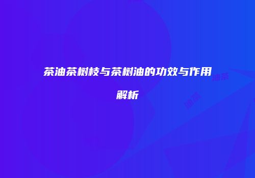 茶油茶树枝与茶树油的功效与作用解析