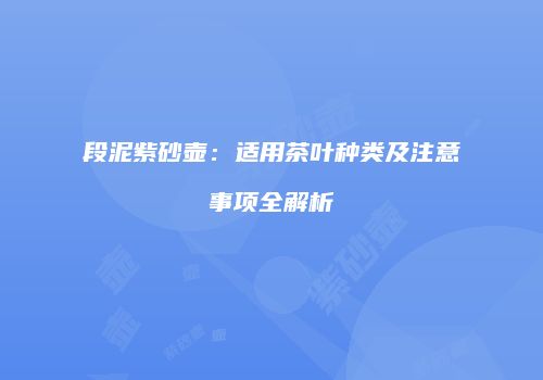段泥紫砂壶：适用茶叶种类及注意事项全解析