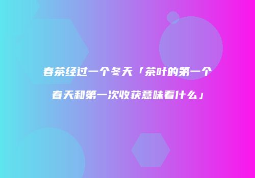 春茶经过一个冬天「茶叶的第一个春天和第一次收获意味着什么」