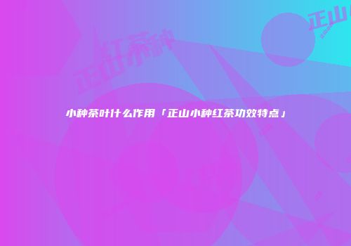 小种茶叶什么作用「正山小种红茶功效特点」