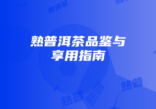 熟普洱茶品鉴与享用指南