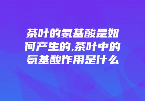 茶叶的氨基酸是如何产生的,茶叶中的氨基酸作用是什么