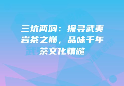 三坑两涧：探寻武夷岩茶之巅，品味千年茶文化精髓