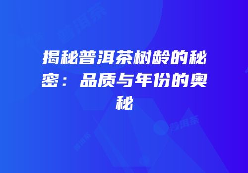 揭秘普洱茶树龄的秘密：品质与年份的奥秘
