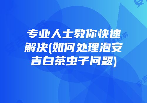专业人士教你快速解决(如何处理泡安吉白茶虫子问题)