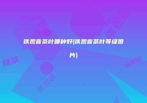 铁观音茶叶哪种好(铁观音茶叶等级图片)