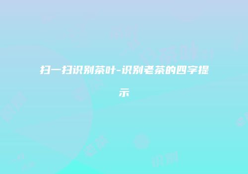 扫一扫识别茶叶-识别老茶的四字提示