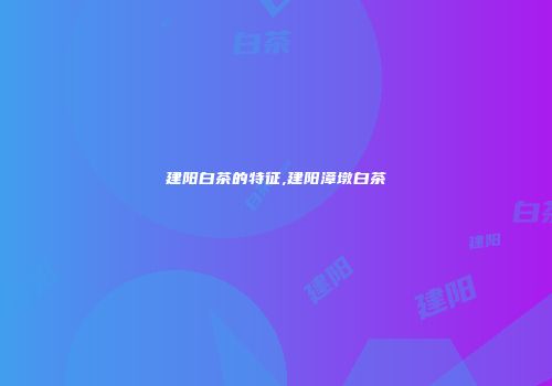 建阳白茶的特征,建阳漳墩白茶