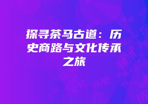 探寻茶马古道：历史商路与文化传承之旅