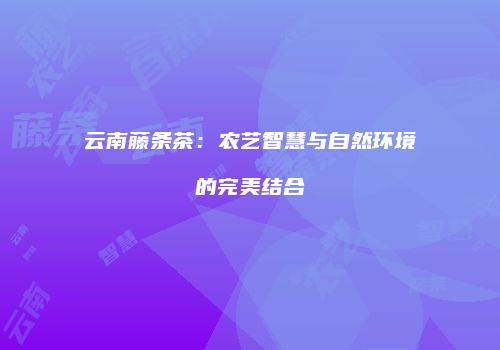 云南藤条茶：农艺智慧与自然环境的完美结合
