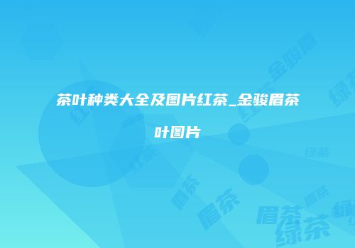 茶叶种类大全及图片红茶_金骏眉茶叶图片