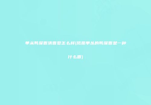 单从鸭屎香清香型怎么样(凤凰单丛的鸭屎香是一种什么香)
