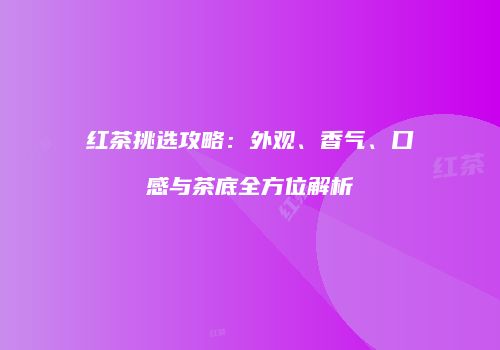 红茶挑选攻略：外观、香气、口感与茶底全方位解析