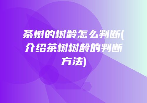 茶树的树龄怎么判断(介绍茶树树龄的判断方法)