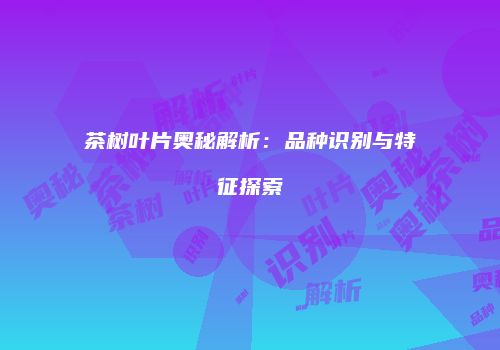茶树叶片奥秘解析：品种识别与特征探索