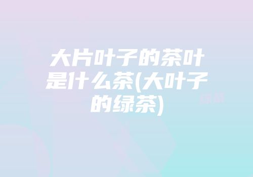 大片叶子的茶叶是什么茶(大叶子的绿茶)