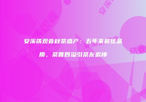 安溪铁观音秋茶盛产：五年来最佳品质，茶香四溢引茶友追捧