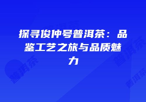 探寻俊仲号普洱茶：品鉴工艺之旅与品质魅力